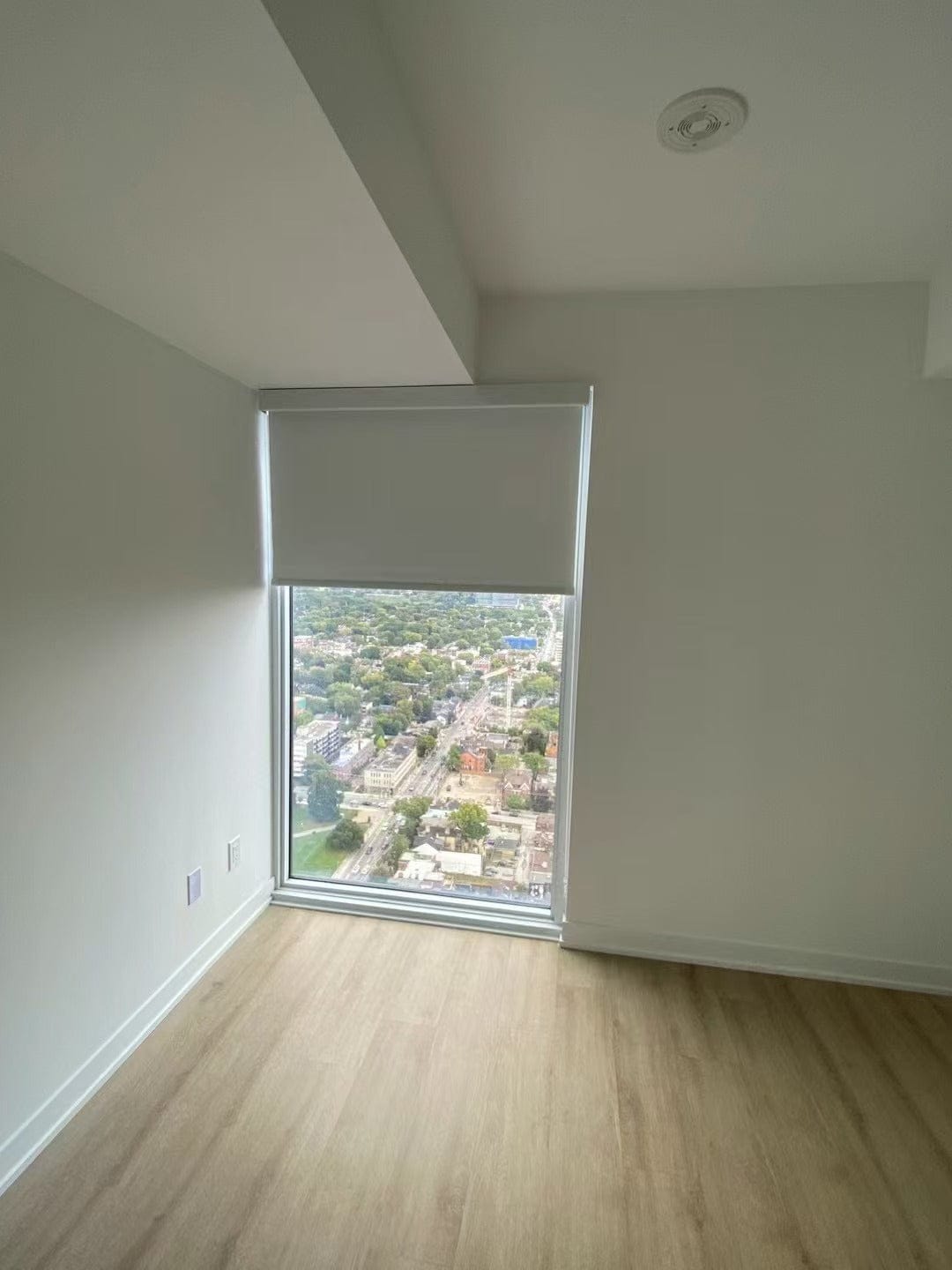 Customer photo review of Blackout Roller Shades