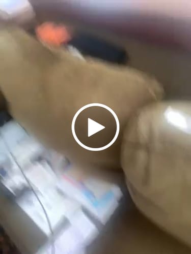 Customer video review of Deal 33% Off- Knight's Creed BELIEVE Credo Bracelet: Helps Pair Veterans with Service or Shelter Dogs