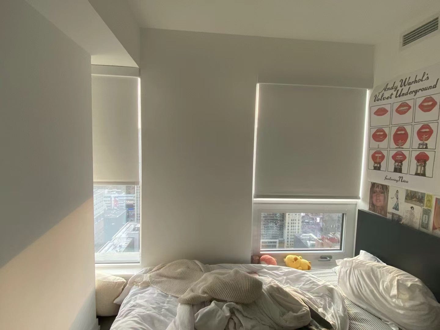 Customer photo review of Blackout Roller Shades