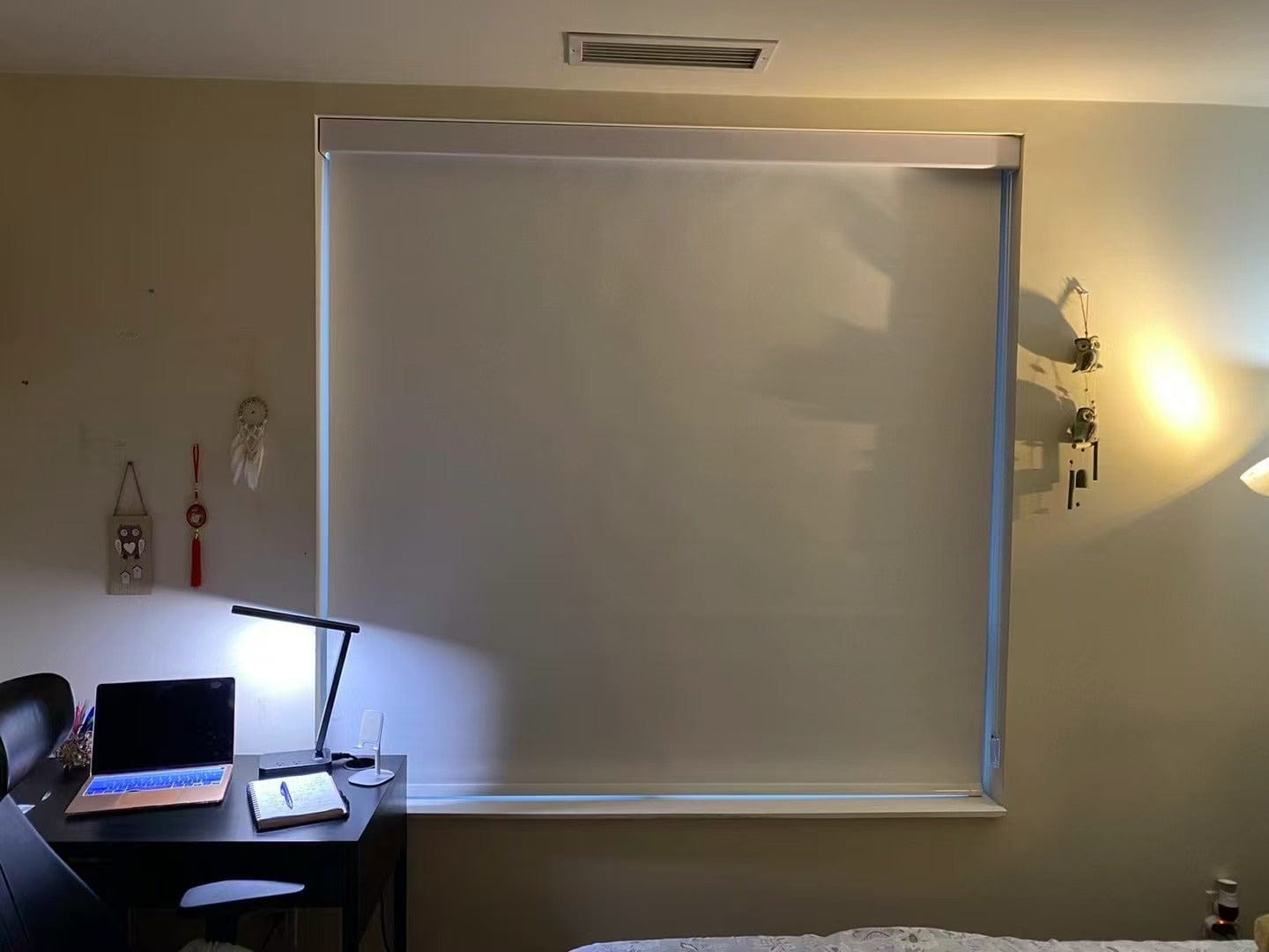 Customer photo review of Blackout Roller Shades