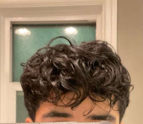 Customer photo review of Leave-In Conditioner