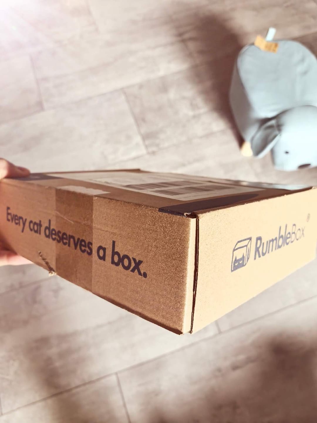 Customer photo review of Premium Sparbox Ente 3x50g