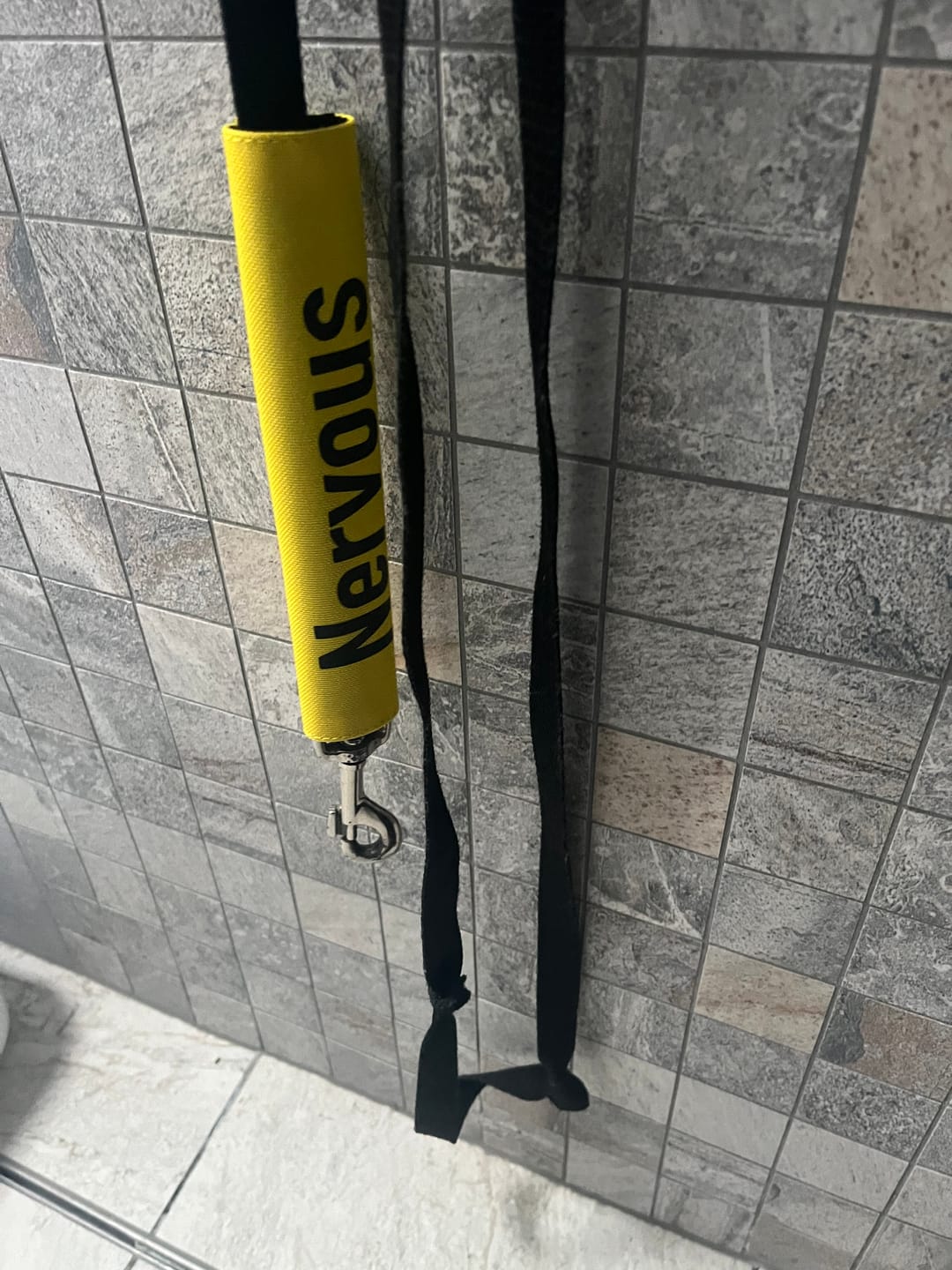 Customer photo review of Nervous Dog Yellow Lead Slip Cover
