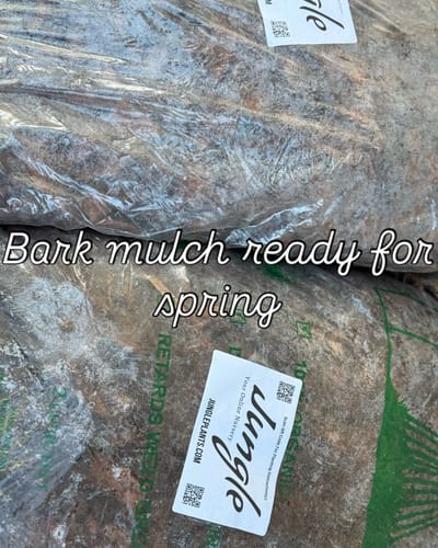 Customer photo review of Pine Bark Mulch