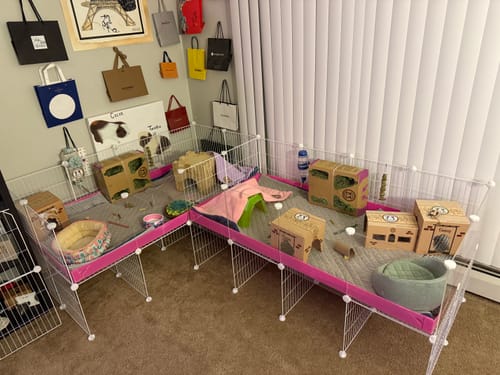 Customer photo review of 4x2 C&C Cage with Stand