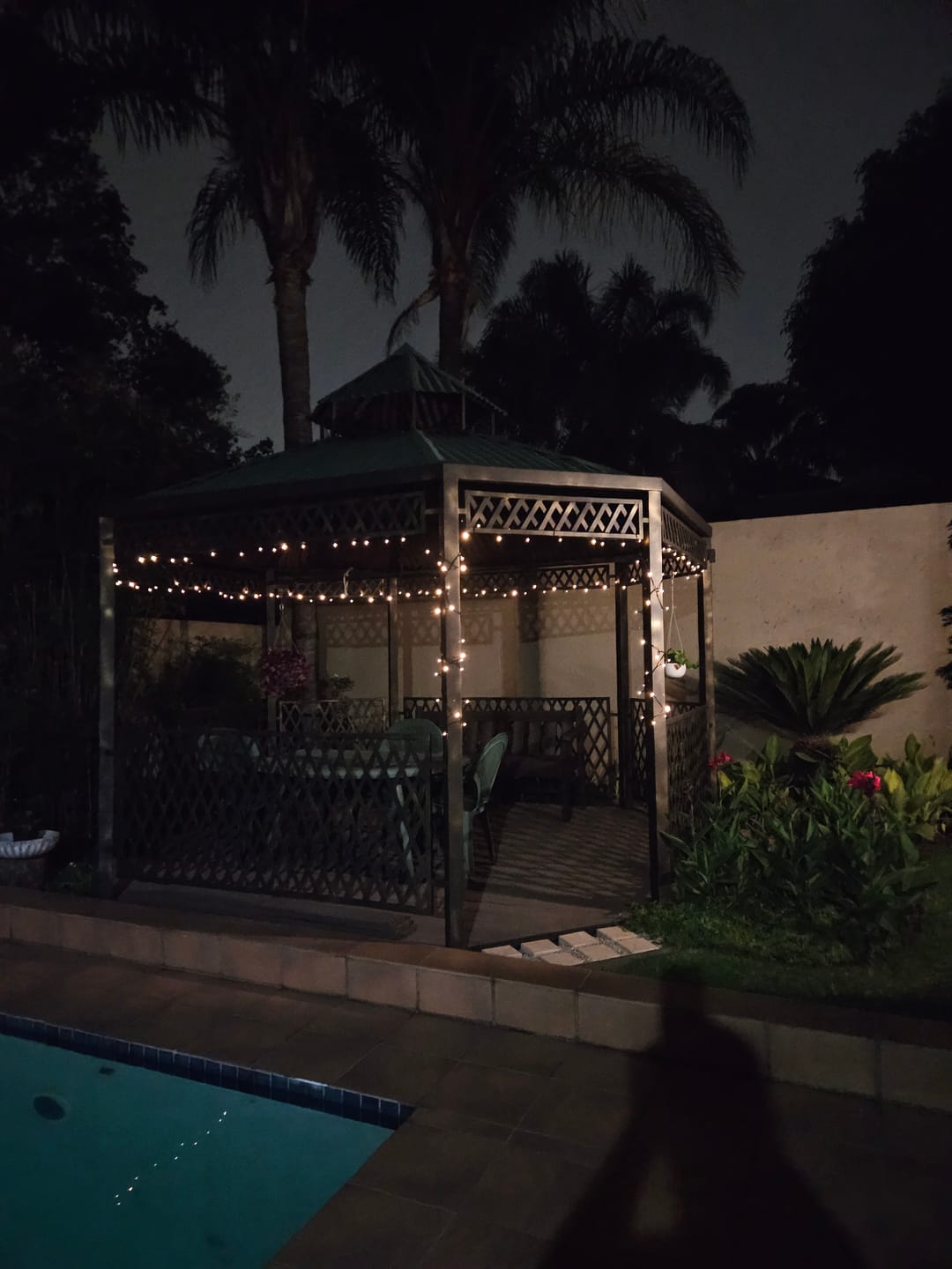 Customer photo review of Black String Solar Fairy Lights
