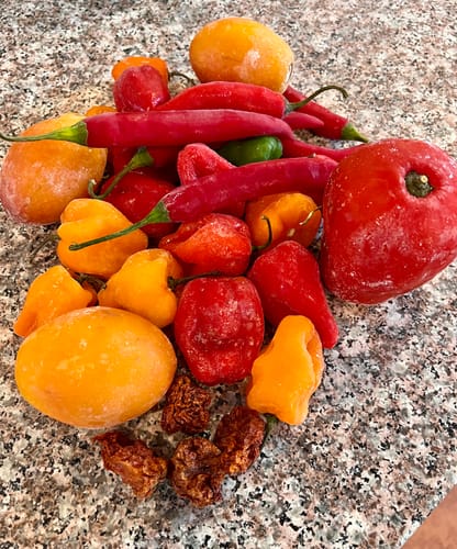 Customer photo review of World's Hottest Peppers 3 Pack