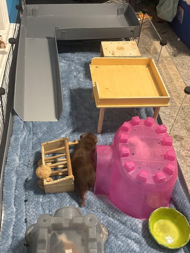 Customer photo review of 5x2 C&C Cage with Loft