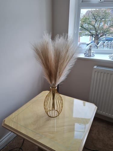 Customer photo review of Statement Outline Vase - Gold