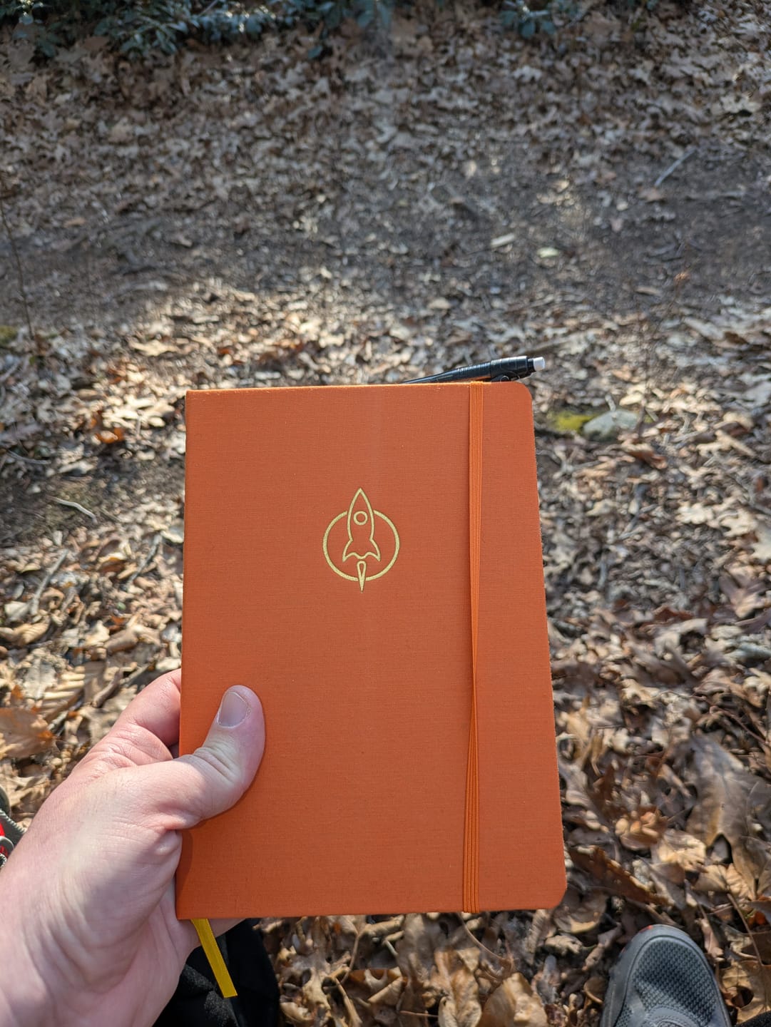 Customer photo review of Galaxy of Istoria