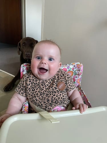 Customer photo review of Paloma baby chair v2