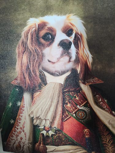 Customer photo review of 'Prince Doggenheim' Personalized Pet Canvas
