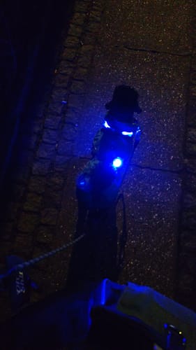 Customer photo review of Safety Light PRO - 7-i-1 Genopladelig Lygte