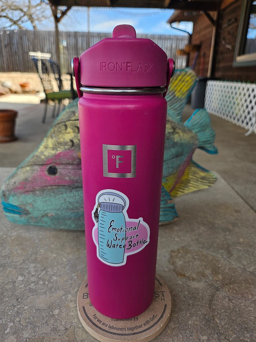 Customer photo review of "Emotional support water bottle" sticker