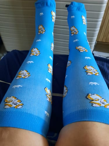 Customer photo review of Corgis