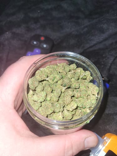 Customer photo review of Gorilla Glue THCA Flower