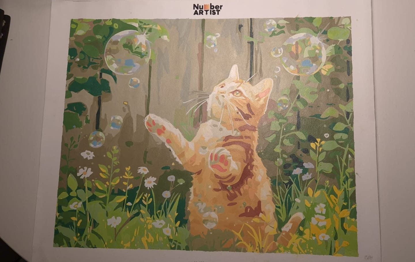 Customer photo review of Cat & Bubbles