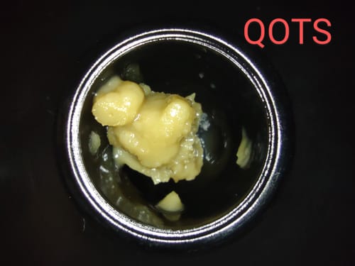 Customer photo review of Queen of the South