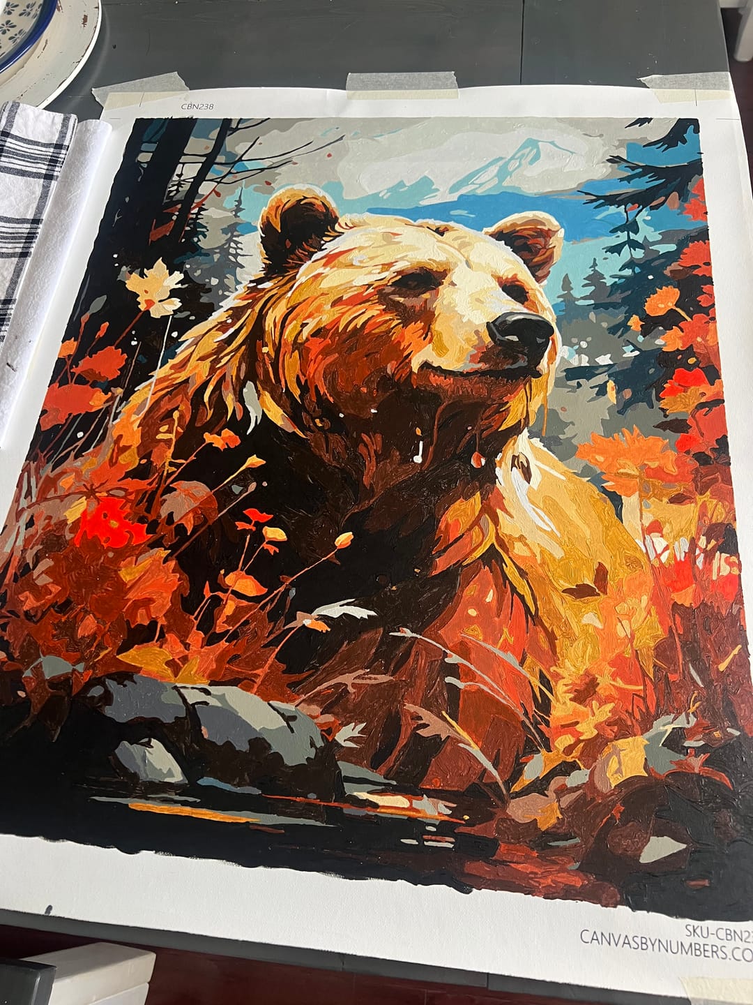 Customer photo review of Grizzly Bear Portrait