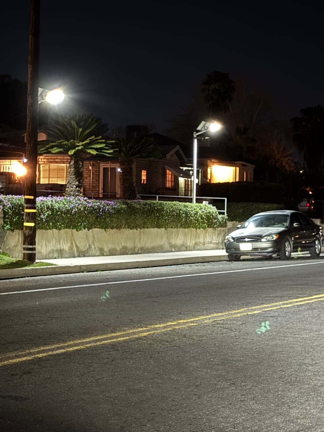 Customer photo review of 175W Solar Street Light 17500 Lumens