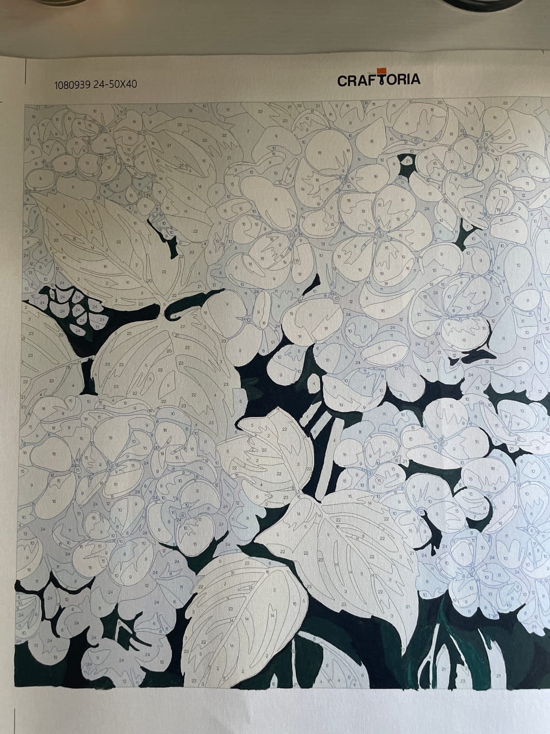Customer photo review of Clustered Hydrangeas