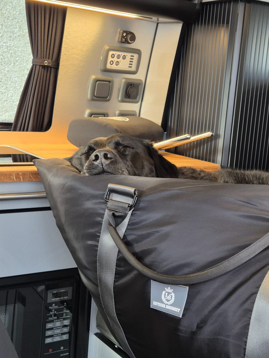 Customer photo review of Travel Dog Pod XL - Now With Isofix