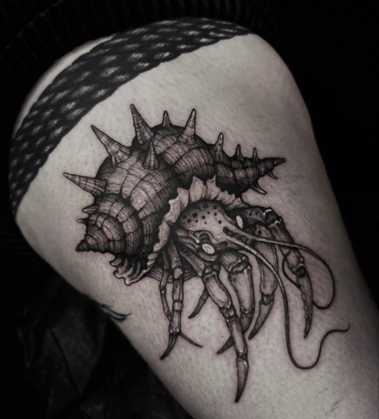 Customer photo review of PEPAX LANCE Tattoo Cartridge Needles Round Liner (20pcs per box)