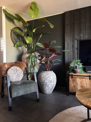 Customer photo review of Calathea Kunstplant 90cm