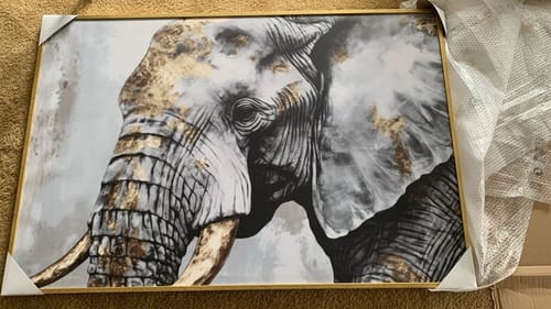 Customer photo review of ASSICURAZIONE PACCO