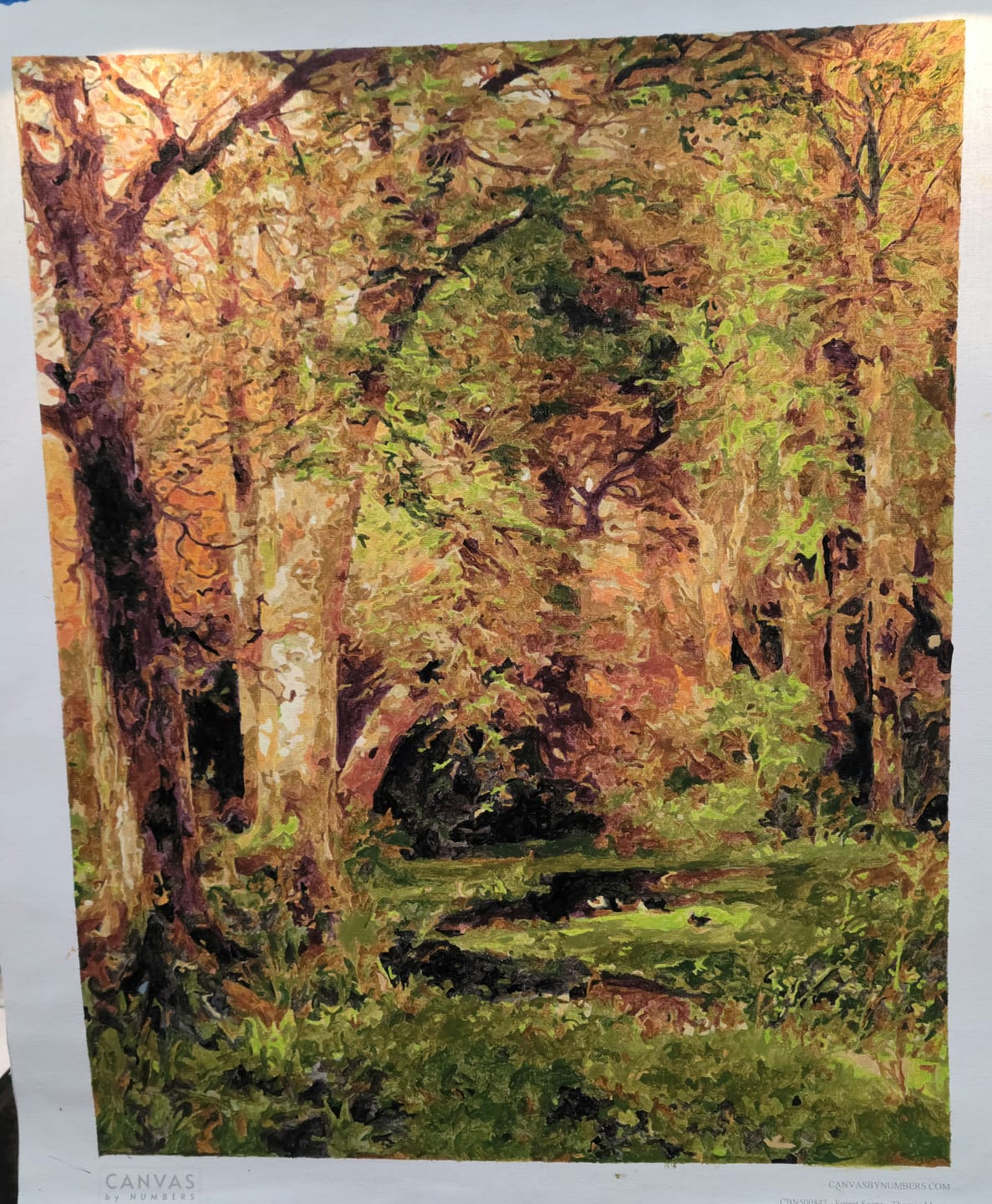 Customer photo review of Forest Scene