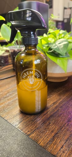 Customer photo review of Neem Oil Pre-Emulsified Signature Starter Kit