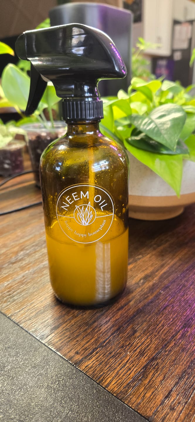 Customer photo review of Neem Oil Pre-Emulsified Signature Starter Kit