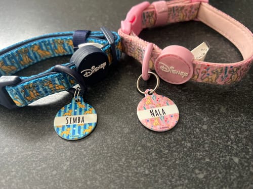Customer photo review of Disney© Collar - Simba