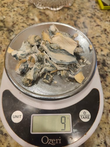 Customer photo review of Non Detect Mushrooms - 50% Off