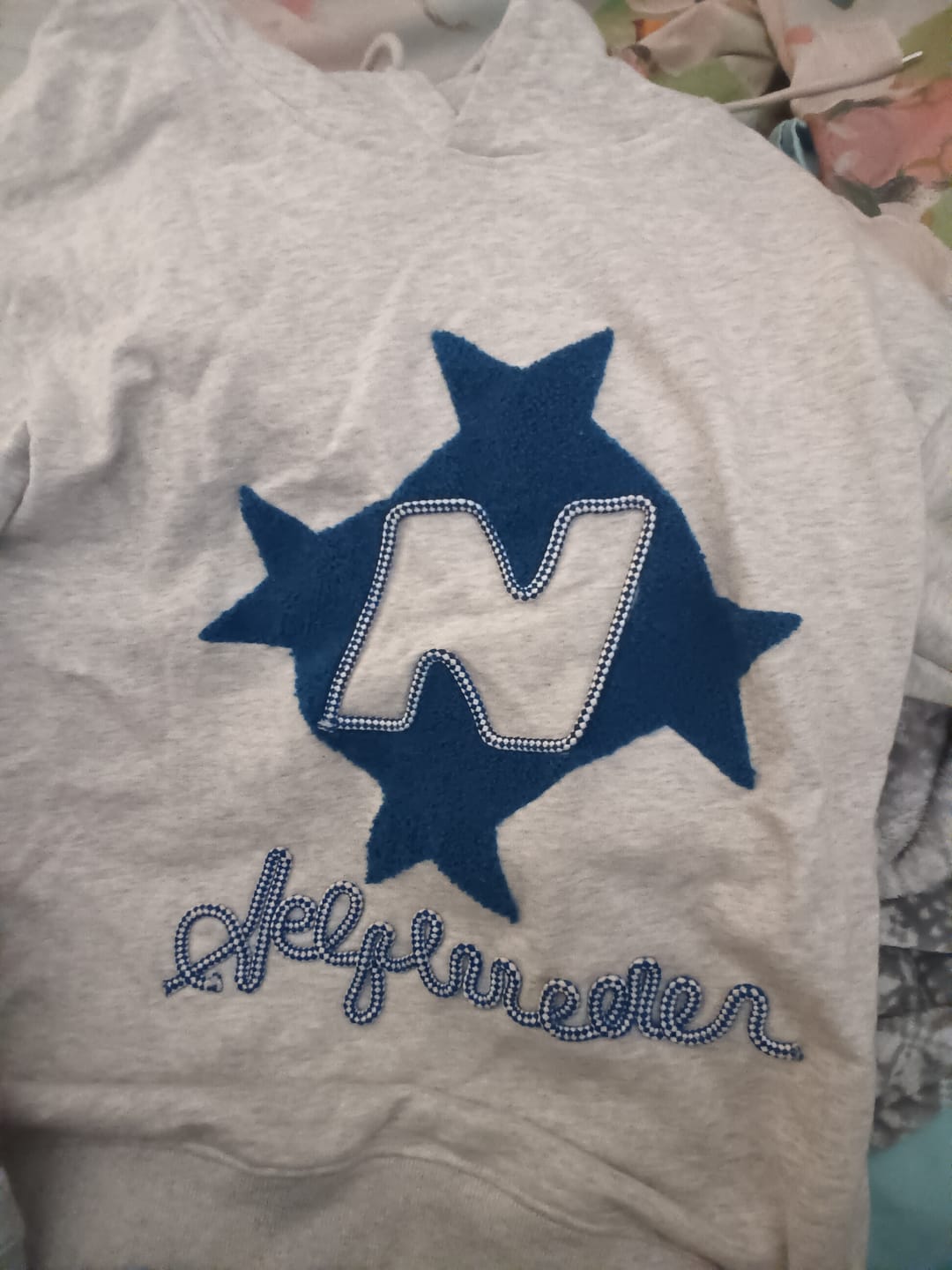 Customer photo review of Aelfric Eden Stellaris Embroidered Hoodie