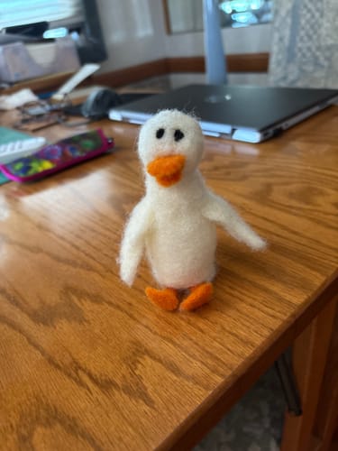 Customer photo review of Felting Needles