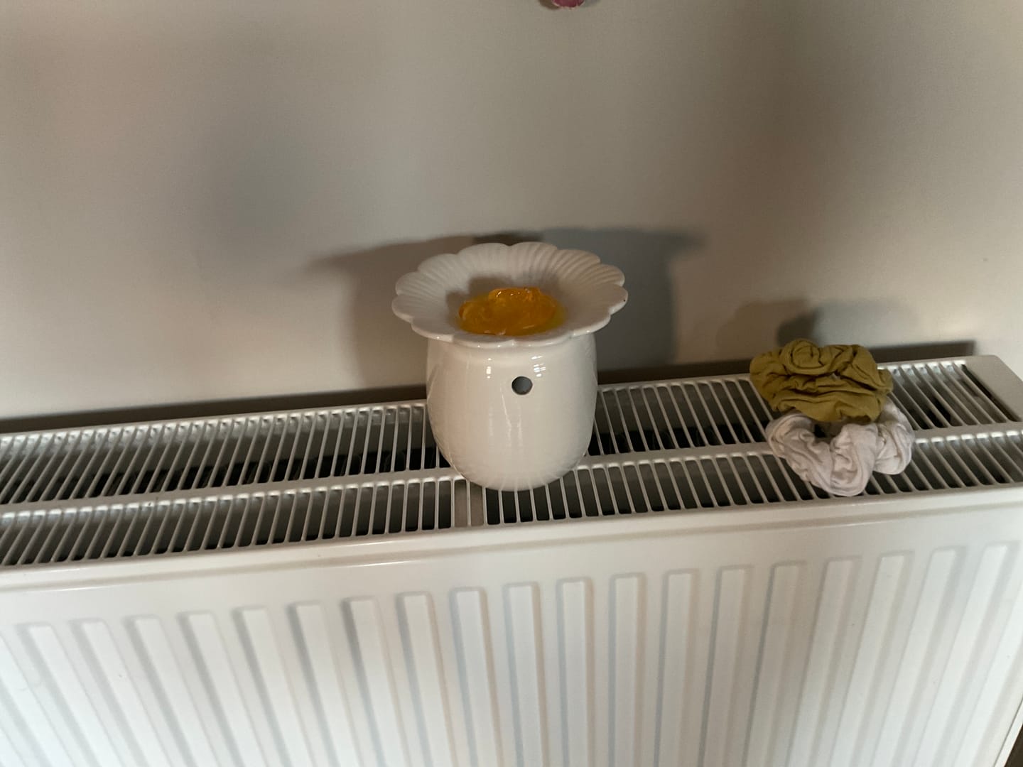 Customer photo review of Daisy Burner