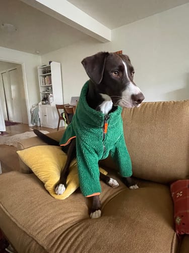 Customer photo review of Monkey Fleece Jacket