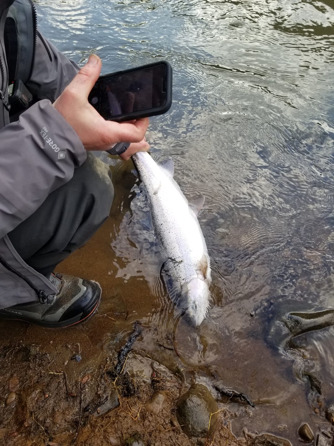 Customer photo review of Stealth STX Floats