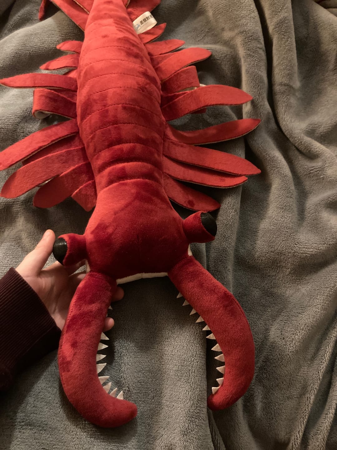 Customer photo review of Anomalocaris Arthropod Soft Stuffed Plush Toy