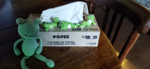 Customer photo review of BOÎTES DE MOUCHOIRS - Mouchoirs en papier adaptés aux Peaux Sensibles