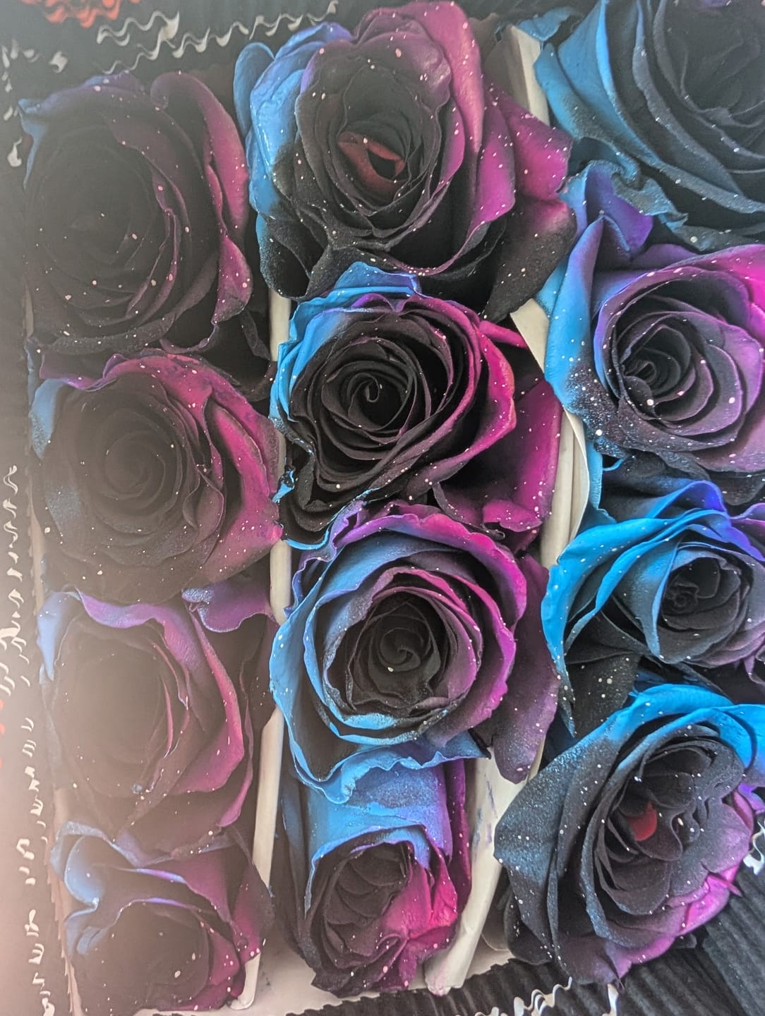 Customer photo review of Starry Galaxy Roses
