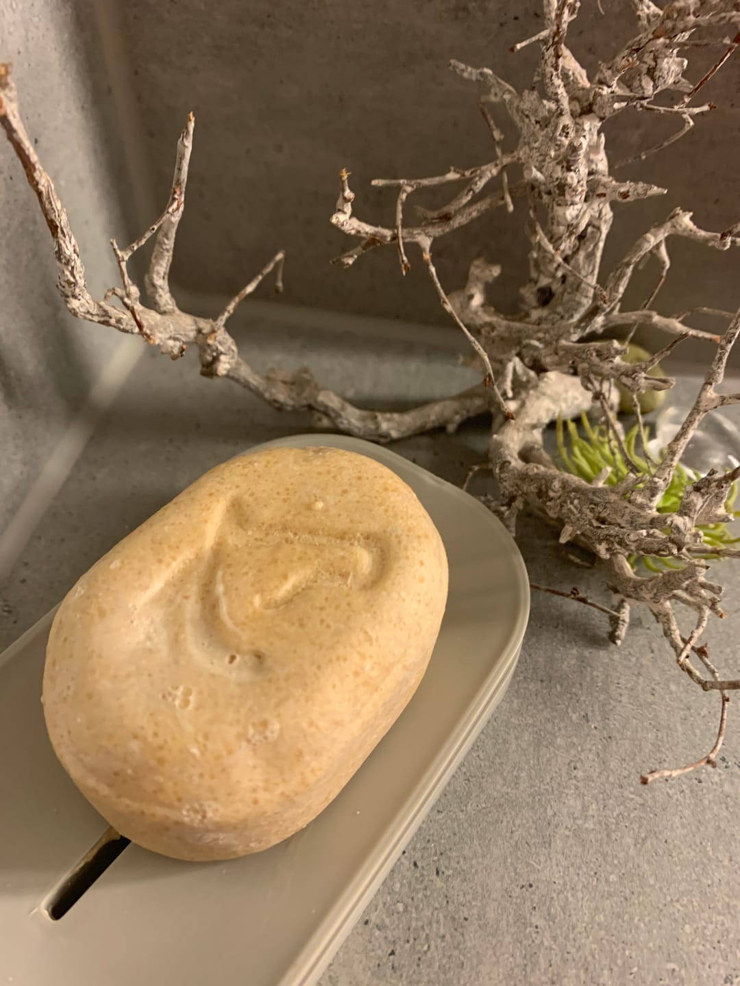Customer photo review of Festes Duschshampoo mit Stutenmilch Litsea Cubeba