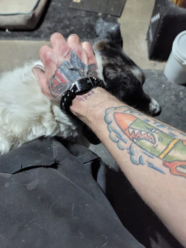 Customer photo review of American Eagle Don't Tread on Me -Liberty or Death Bracelet: Helps Pair Veterans With A Service Dog Or Shelter Dog