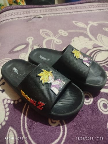 Customer photo review of Dragon Ball Rubby Gohan