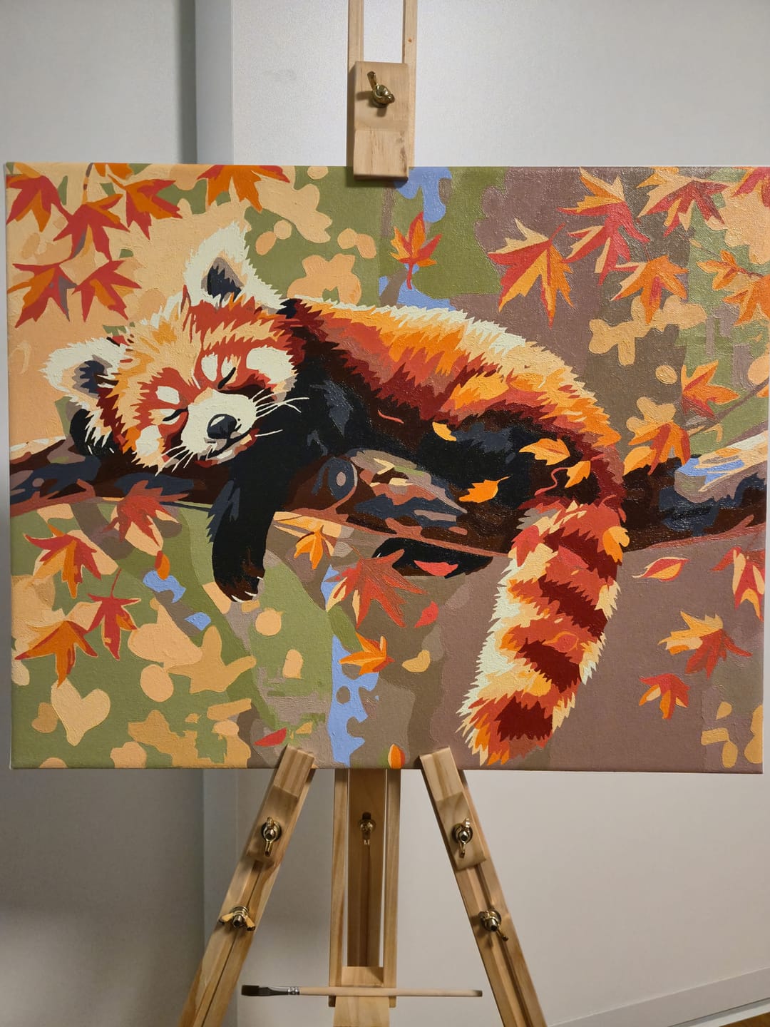Customer photo review of Relaxed Red Panda
