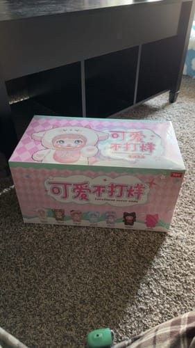 Customer photo review of Nommi Loveliness Never Ends Series Plush Blind Box