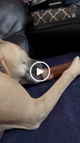 Customer video review of Smoked Beef Marrow Bone