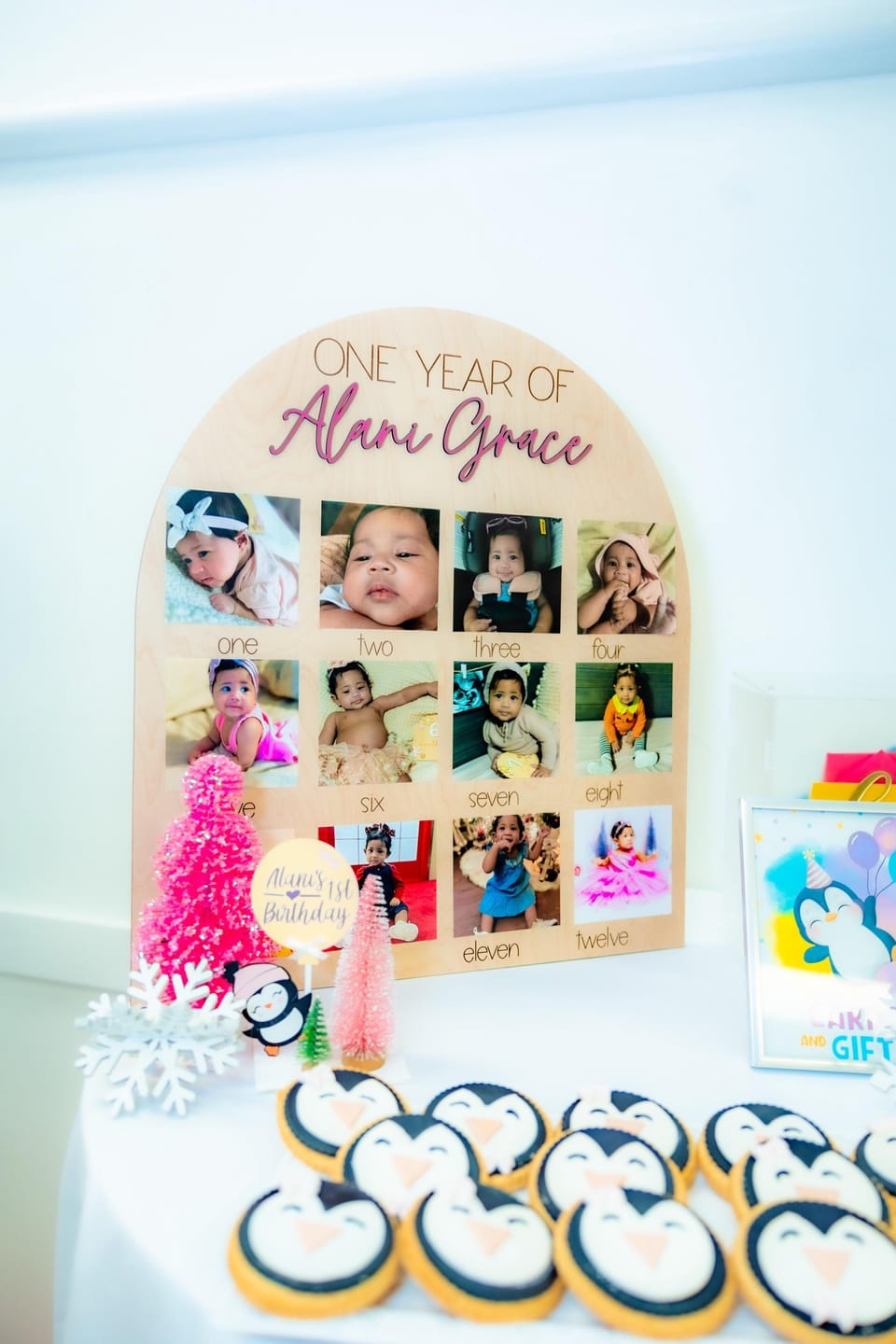Customer photo review of One Year Of Photo Board