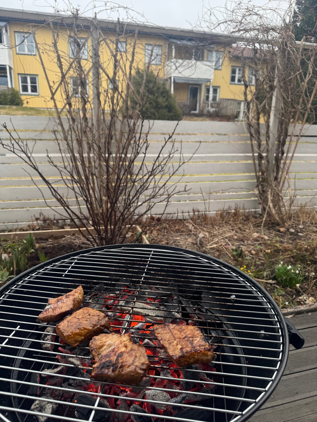 Customer photo review of Mustang Kolgrill Basic 57cm på stativ